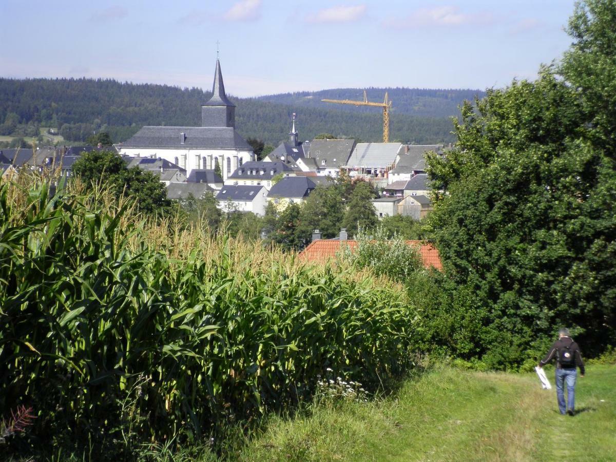 Ferienwohnung Am Weissenstaedter See Weißenstadt Eksteriør billede